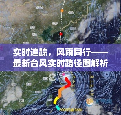 实时追踪,风雨同行——最新台风实时路径图解析