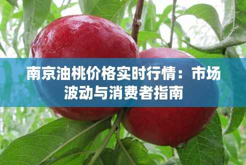 南京油桃价格实时行情:市场波动与消费者指南