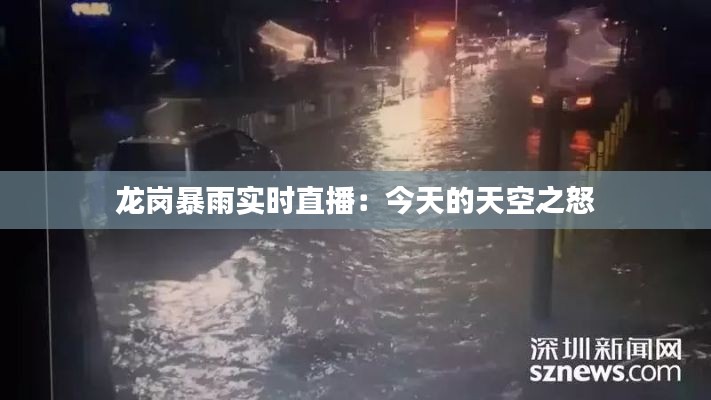 龙岗暴雨实时直播:今天的天空之怒