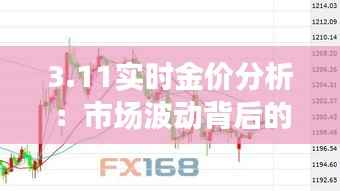 3.11实时金价分析：市场波动背后的经济脉动