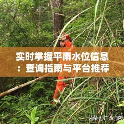实时掌握平南水位信息:查询指南与平台推荐
