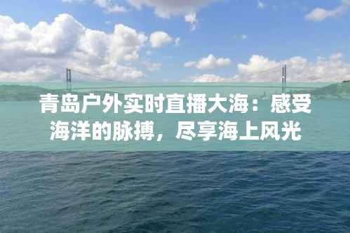 青岛户外实时直播大海：感受海洋的脉搏，尽享海上风光