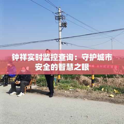 钟祥实时监控查询：守护城市安全的智慧之眼