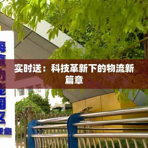 实时送:科技革新下的物流新篇章
