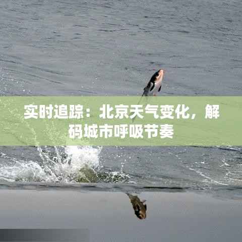 实时追踪:北京天气变化,解码城市呼吸节奏