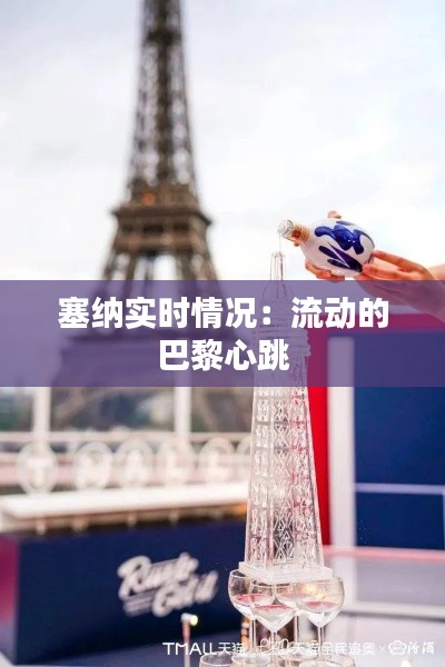 塞纳实时情况：流动的巴黎心跳