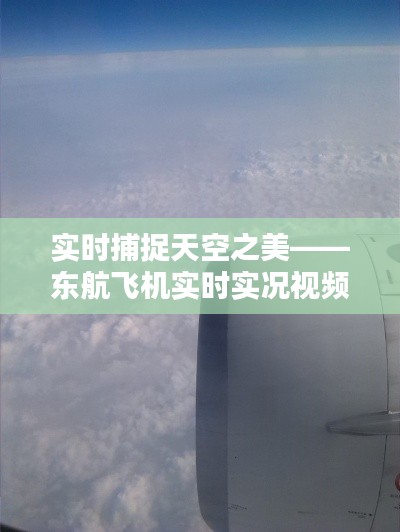 实时捕捉天空之美——东航飞机实时实况视频探秘