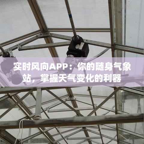 实时风向APP：你的随身气象站，掌握天气变化的利器