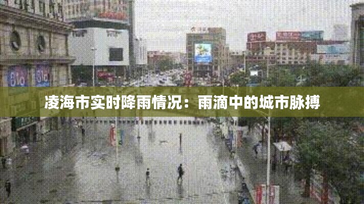 凌海市实时降雨情况:雨滴中的城市脉搏