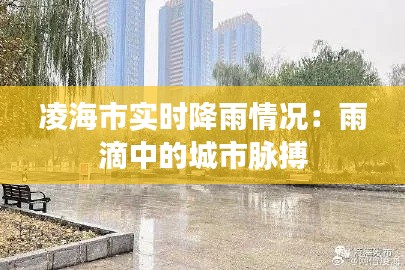 凌海市实时降雨情况:雨滴中的城市脉搏