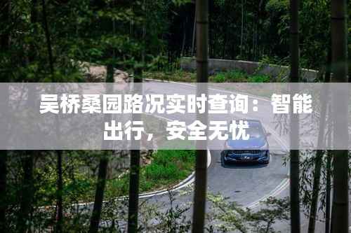 吴桥桑园路况实时查询:智能出行,安全无忧