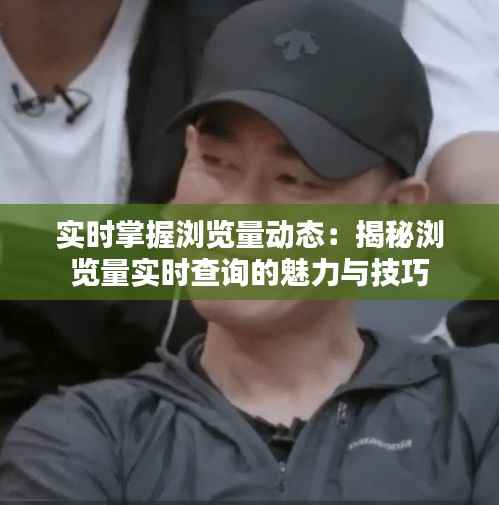 实时掌握浏览量动态:揭秘浏览量实时查询的魅力与技巧