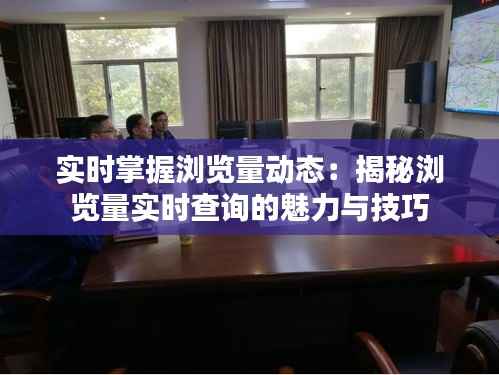 实时掌握浏览量动态:揭秘浏览量实时查询的魅力与技巧