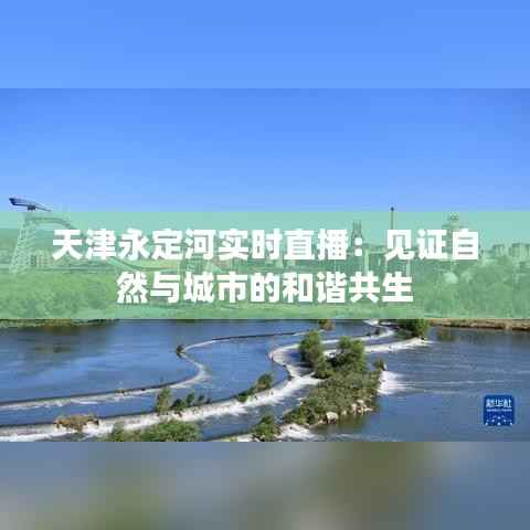 天津永定河实时直播:见证自然与城市的和谐共生