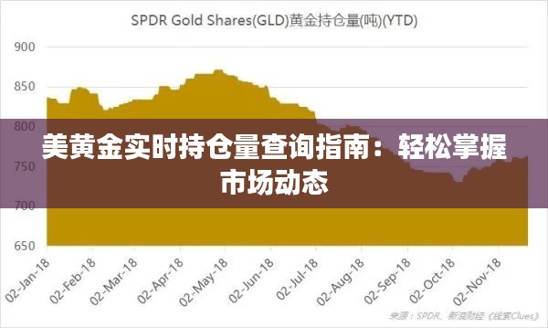 美黄金实时持仓量查询指南:轻松掌握市场动态