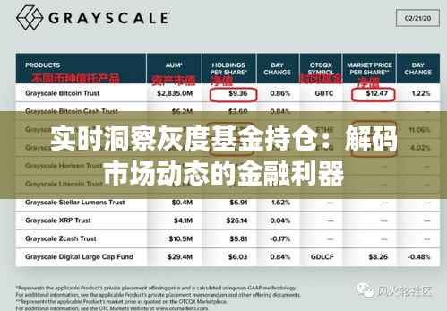 实时洞察灰度基金持仓：解码市场动态的金融利器