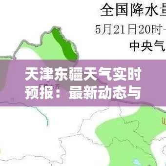 天津东疆天气实时预报:最新动态与出行指南