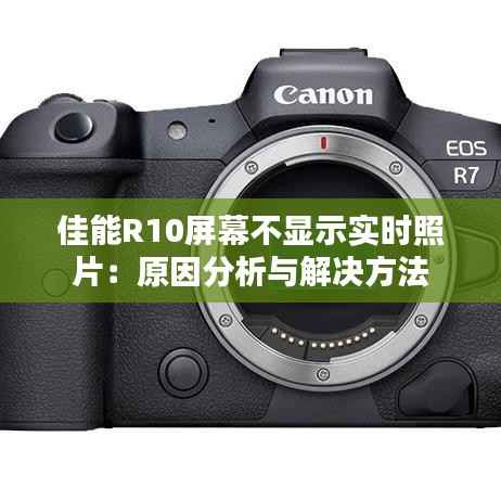 佳能R10屏幕不显示实时照片:原因分析与解决方法