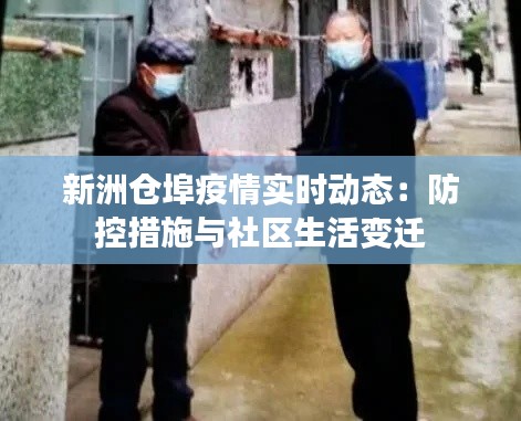 新洲仓埠疫情实时动态:防控措施与社区生活变迁