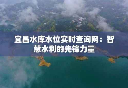 宜昌水库水位实时查询网:智慧水利的先锋力量