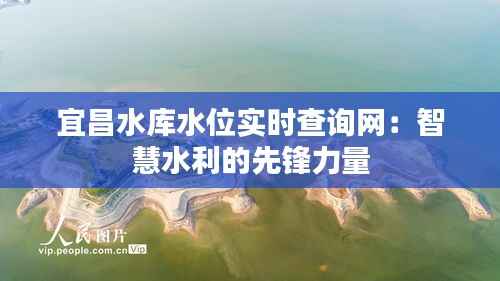 宜昌水库水位实时查询网:智慧水利的先锋力量