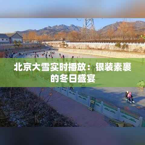 北京大雪实时播放：银装素裹的冬日盛宴