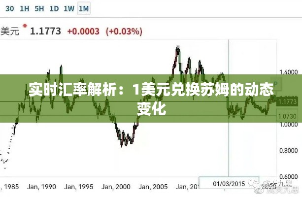 实时汇率解析:1美元兑换苏姆的动态变化