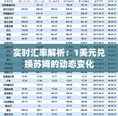 实时汇率解析:1美元兑换苏姆的动态变化