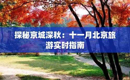 探秘京城深秋：十一月北京旅游实时指南