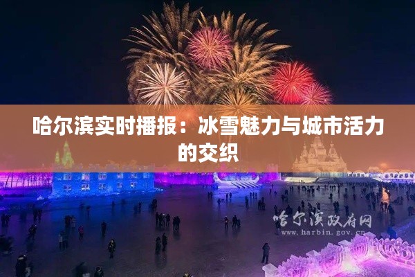哈尔滨实时播报:冰雪魅力与城市活力的交织