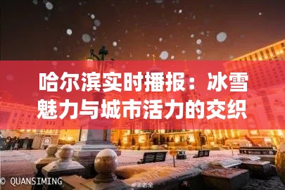哈尔滨实时播报:冰雪魅力与城市活力的交织