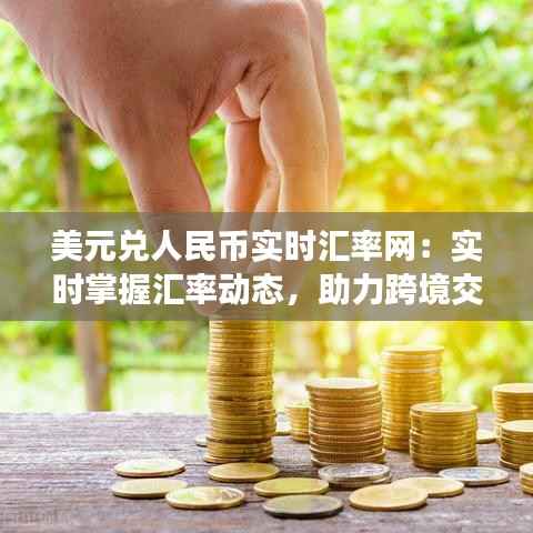 美元兑人民币实时汇率网:实时掌握汇率动态,助力跨境交易