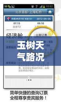 玉树天气路况实时查询表：出行无忧的贴心助手