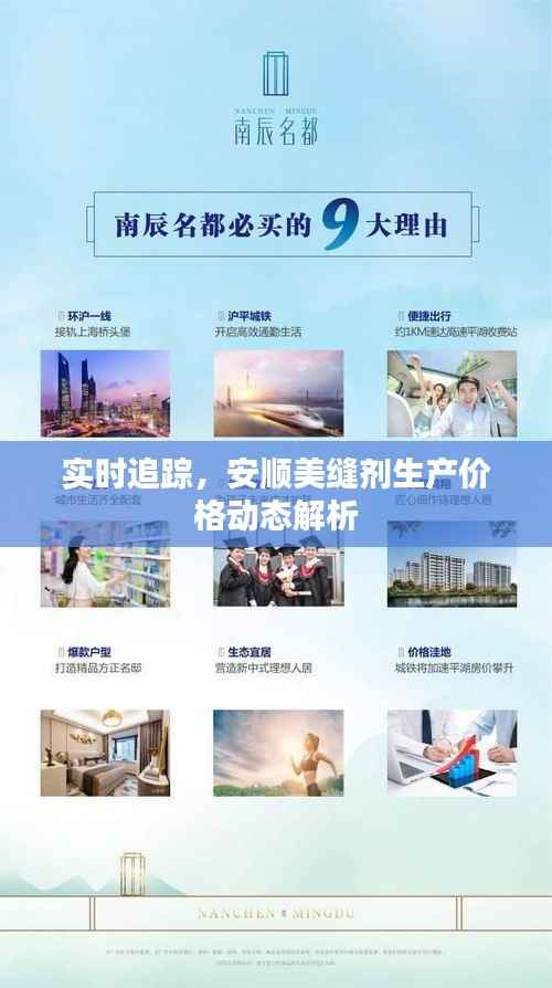 实时追踪,安顺美缝剂生产价格动态解析