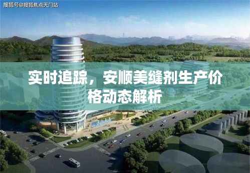 实时追踪,安顺美缝剂生产价格动态解析