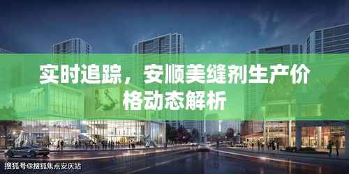 实时追踪,安顺美缝剂生产价格动态解析