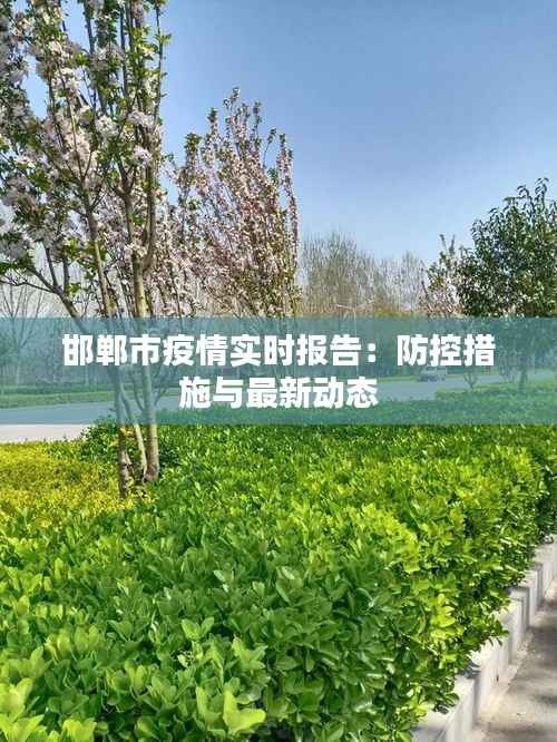 邯郸市疫情实时报告:防控措施与最新动态