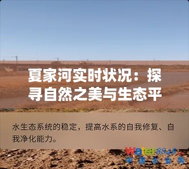 夏家河实时状况:探寻自然之美与生态平衡的守护者