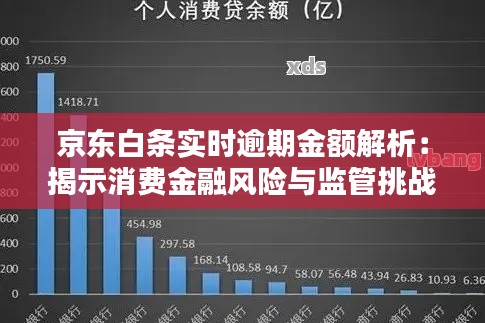 京东白条实时逾期金额解析:揭示消费金融风险与监管挑战