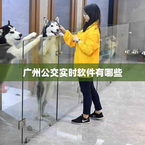 广州公交实时软件有哪些