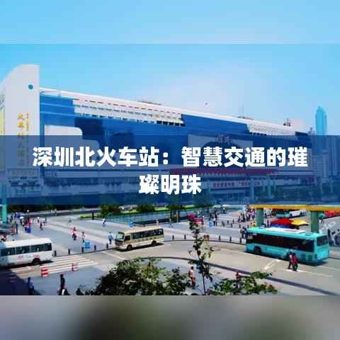 深圳北火车站：智慧交通的璀璨明珠