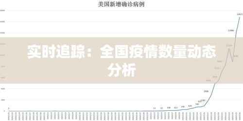 实时追踪:全国疫情数量动态分析