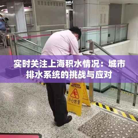 实时关注上海积水情况：城市排水系统的挑战与应对