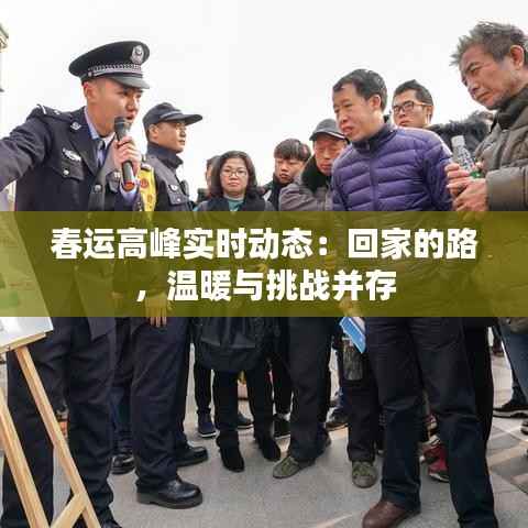 春运高峰实时动态:回家的路,温暖与挑战并存