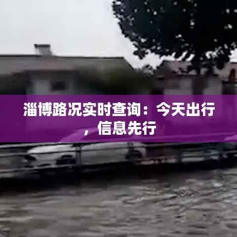 淄博路况实时查询：今天出行，信息先行