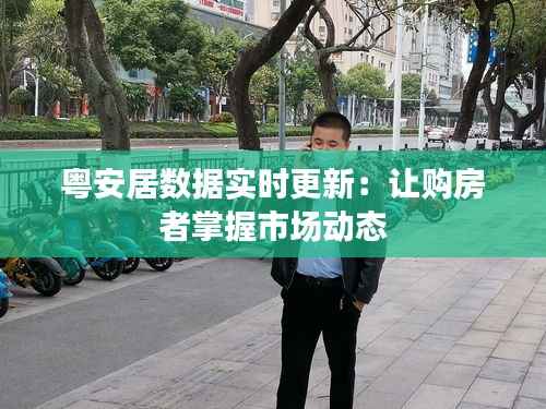 粤安居数据实时更新：让购房者掌握市场动态