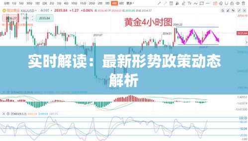 实时解读：最新形势政策动态解析