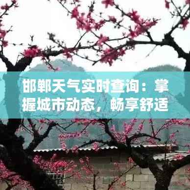 邯郸天气实时查询：掌握城市动态，畅享舒适生活