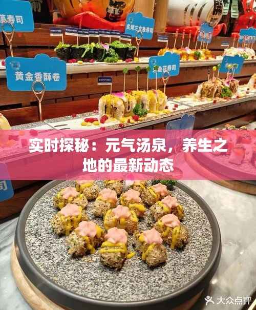 实时探秘:元气汤泉,养生之地的最新动态