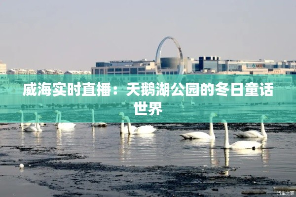 凌空飞起 第5页